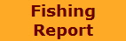 Fishing
Report